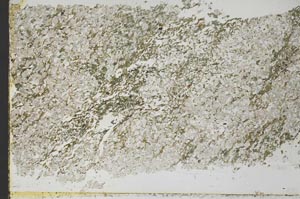Plane Polarized, S45388