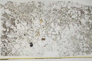 Plane Polarized, S45393