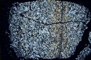 Cross Polarized, S45396
