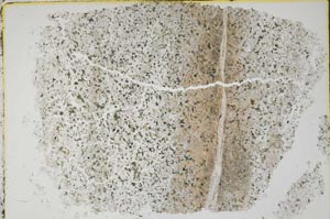 Plane Polarized, S45396