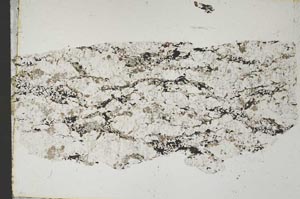 Plane Polarized, S45399