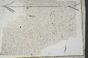Plane Polarized, S45419