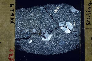 Cross Polarized, S45436