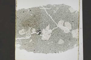 Plane Polarized, S45436