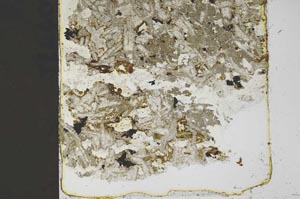 Plane Polarized, S45440
