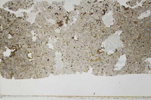 Plane Polarized, S45441/A