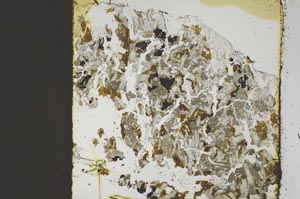 Plane Polarized, S45442