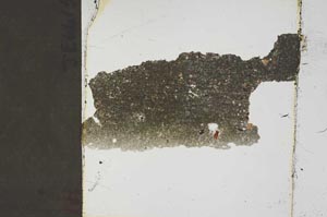 Plane Polarized, S45448