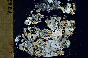 Cross Polarized, S45461