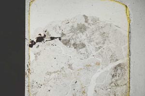 Plane Polarized, S45480
