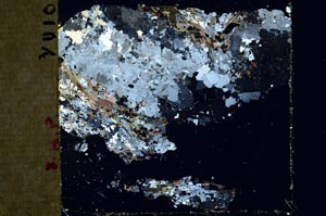 Cross Polarized, S45484