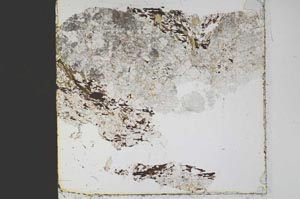 Plane Polarized, S45484