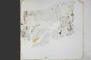Plane Polarized, S45491
