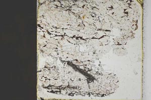 Plane Polarized, S45493
