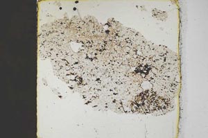 Plane Polarized, S45495