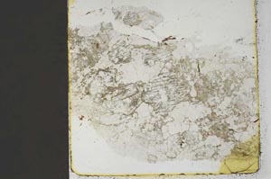 Plane Polarized, S45497
