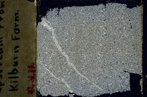 Cross Polarized, S45516