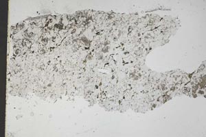 Plane Polarized, S45528
