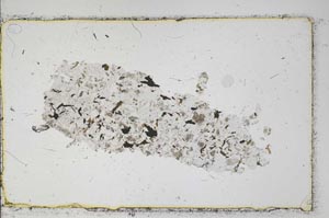 Plane Polarized, S45562