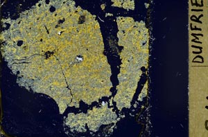Cross Polarized, S45593