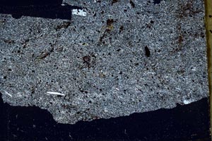 Cross Polarized, S45599