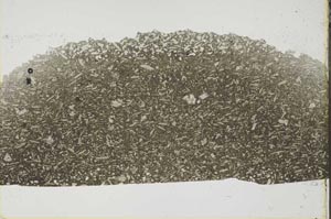 Plane Polarized, S45611