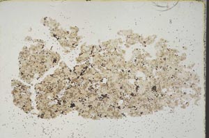 Plane Polarized, S45617