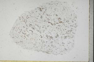 Plane Polarized, S45629