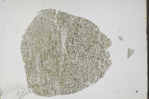 Plane Polarized, S45632
