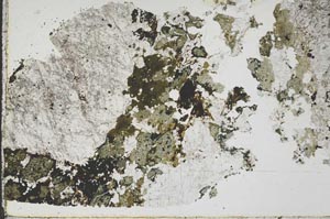 Plane Polarized, S45637