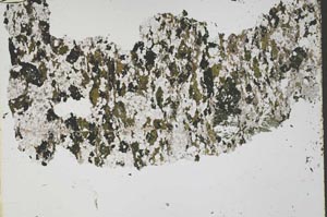 Plane Polarized, S45639