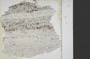 Plane Polarized, S45641