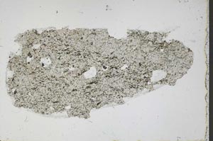 Plane Polarized, S45657