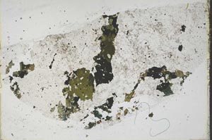 Plane Polarized, S45661