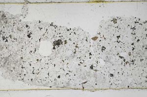 Plane Polarized, S45662