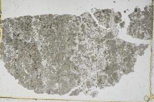 Plane Polarized, S45665