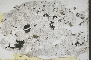 Plane Polarized, S45670