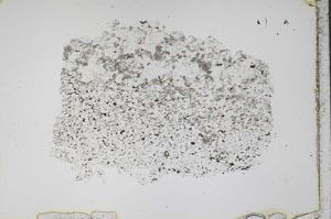 Plane Polarized, S45687