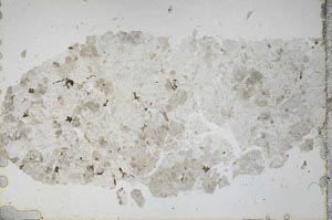 Plane Polarized, S45698