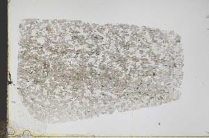 Plane Polarized, S45710