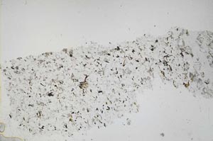 Plane Polarized, S45711