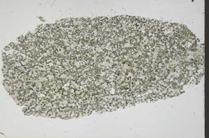 Plane Polarized, S45714