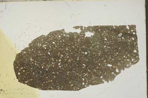 Plane Polarized, S45722