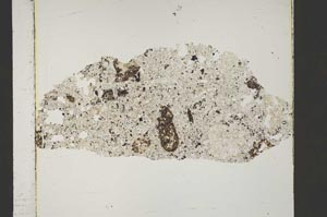 Plane Polarized, S45724