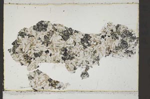 Plane Polarized, S45752