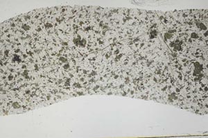 Plane Polarized, S45785/A