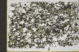 Plane Polarized, S45811