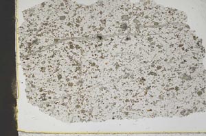 Plane Polarized, S45823