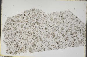 Plane Polarized, S45826
