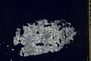 Cross Polarized, S45832